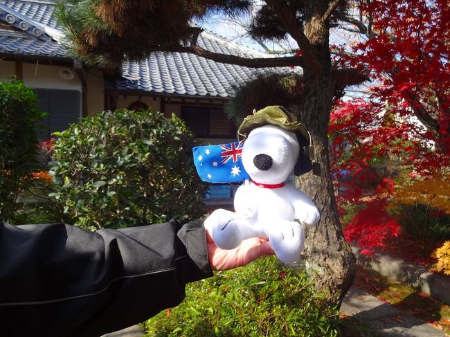 今日のスヌくんは、オーストラリア仕様です！<br /><br />撮影角度が悪く、目が無くなっちゃいました！