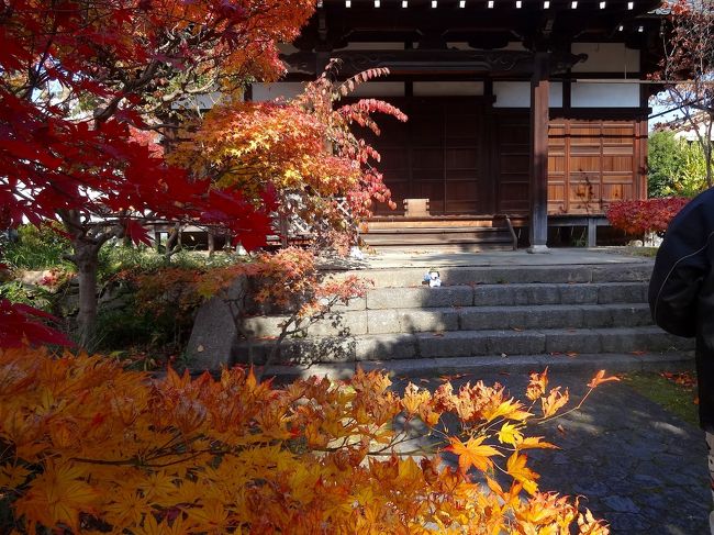 紅葉の中、スヌくん一人寂しそう。