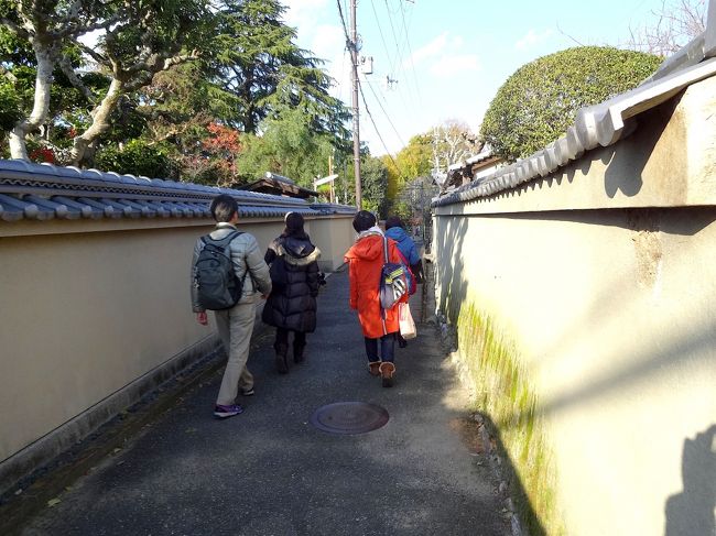 そしてまた、トコトコ歩きます。