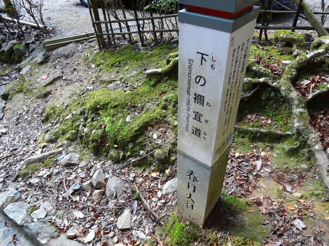 「下の禰宜道（しものねぎみち）」通称「ささやきの小径」と言うんだそうです。