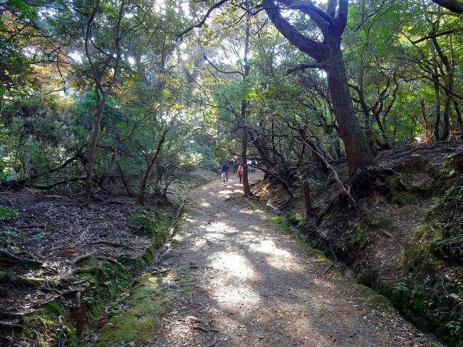 我々オフ会のメンバーしか歩いていなかった、<br />こんな獣道のような小径の名は...