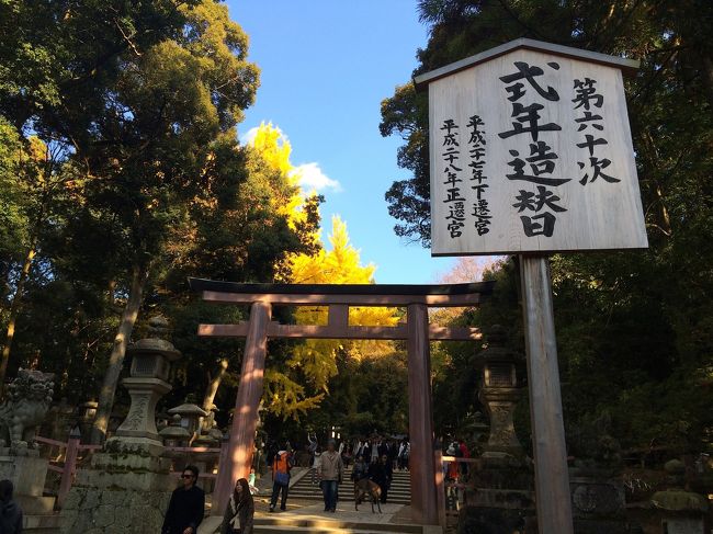 「下の禰宜道」を抜けると、「春日大社」の大鳥居に出ます。<br />まあまあ、賑わっています。