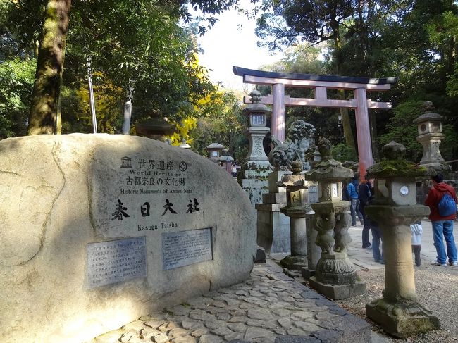 らぼさんは、お仕事の都合でお別れしないといけないので、この春日大社の石碑の前で記念撮影をしました♪<br />ガブリエラさんのカメラで撮ってます。