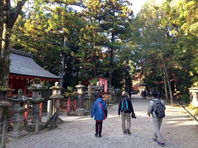 途中鹿くんたちと触れ合いながらまたトコトコ歩きます。