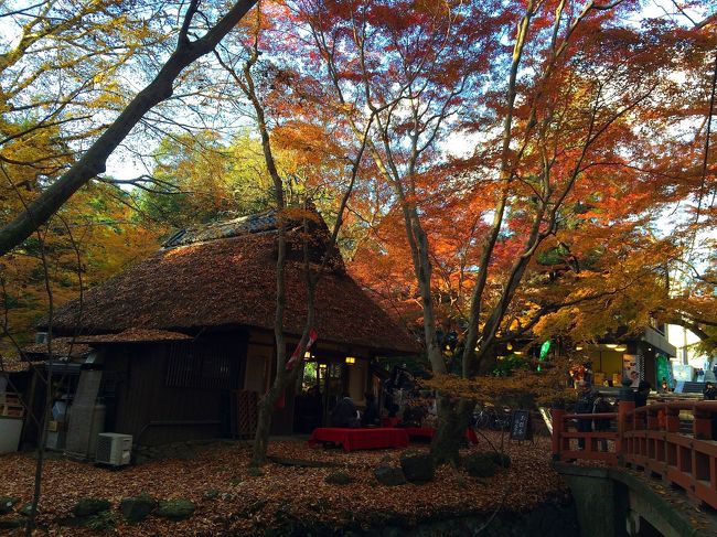 トコトコとさらに北に進むと奈良公園一の紅葉の名所「水谷茶屋（みづやぢゃや」に出ます。<br />「水谷」と書いて「みづや」って書くのですが、「みず」って書くと水が濁るって言う意味になるそうで「みづや」なんだそうです。フェイスブックの「水谷茶屋」に問い合わせるとそのように言われていました。