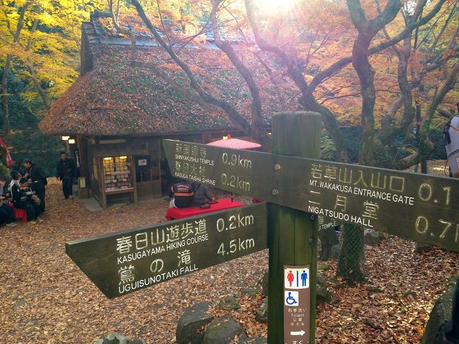 さらに北に向かうと山焼きで有名な「若草山」です。