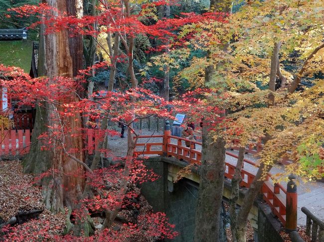 鮮やかな紅葉と「水谷橋」。