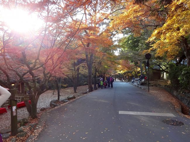 この「水谷茶屋」の周辺は紅葉で溢れています♪