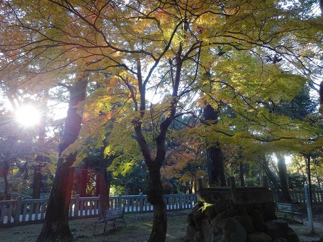 こんな紅葉を見ながら、さらに北上し「三月堂」へ向かいます。