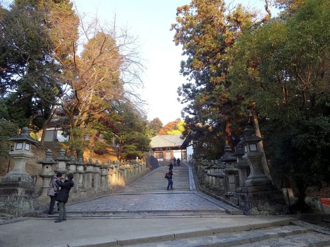 この階段坂を降りて来ました。