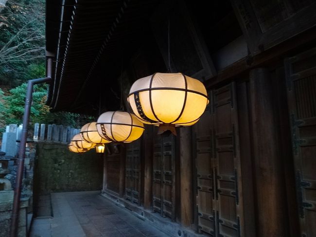 こんなところも撮っときます。<br /><br />そろそろ退散することにしましょうか。