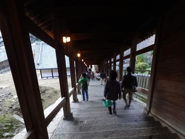 長い石の階段を下りながら...