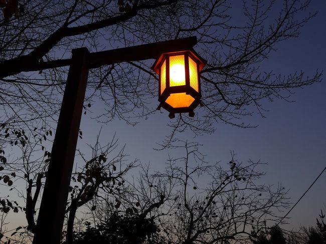実際にはこんな暗くはなっていないのですが、デジカメだといい雰囲気に撮れちゃいます♪