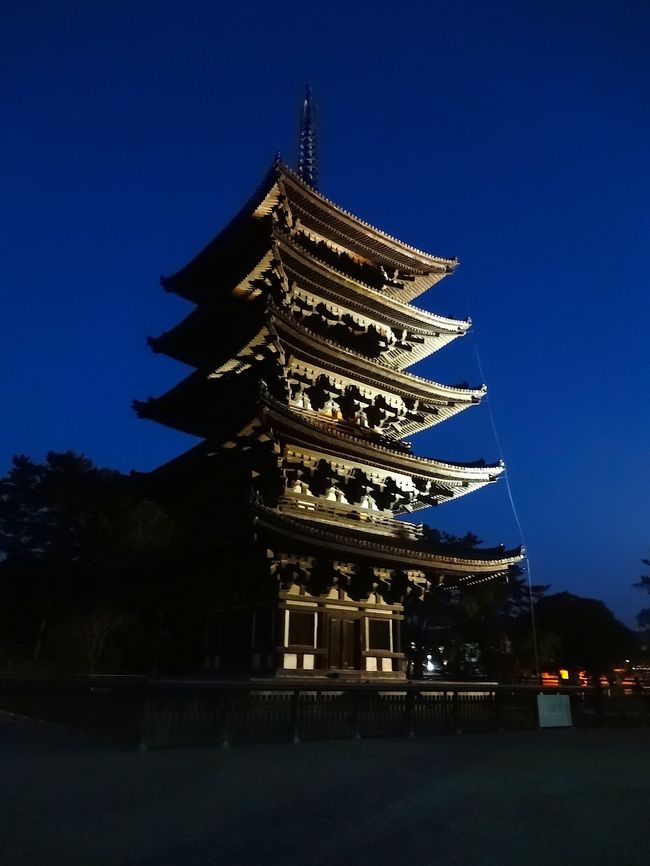 興福寺の五重塔のライトアップがとてもキレイです。