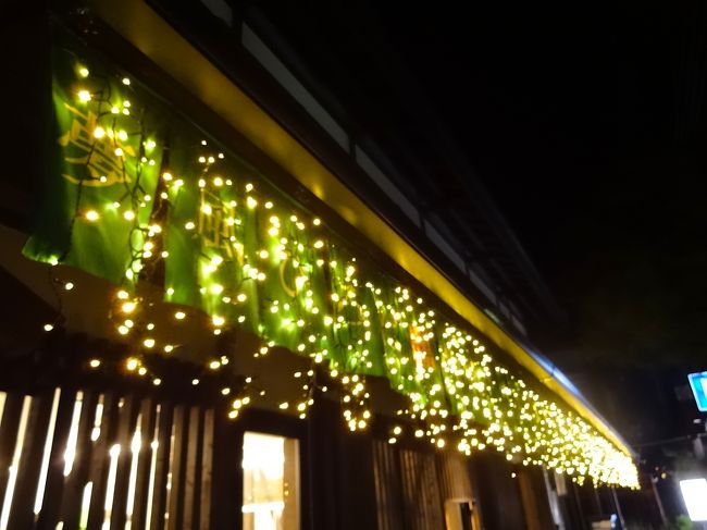 途中の街にはすだれのようなイルミネーションが、キラキラと光っています。