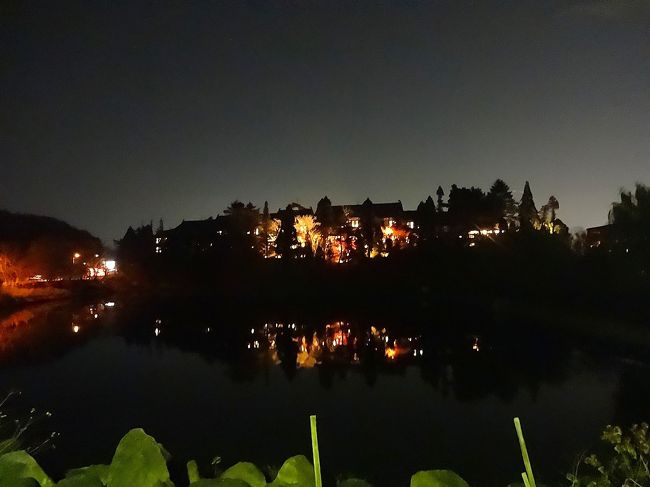 朝に見た池の向こうには、豪華な建物が光っています。<br /><br />Google mapで見てみると「奈良ホテル」のようです。