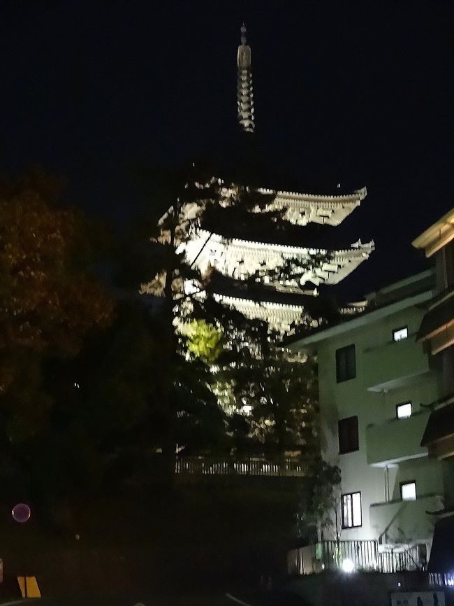 興福寺の五重塔も見納めです。<br /><br />また、来ますよ〜、奈良！