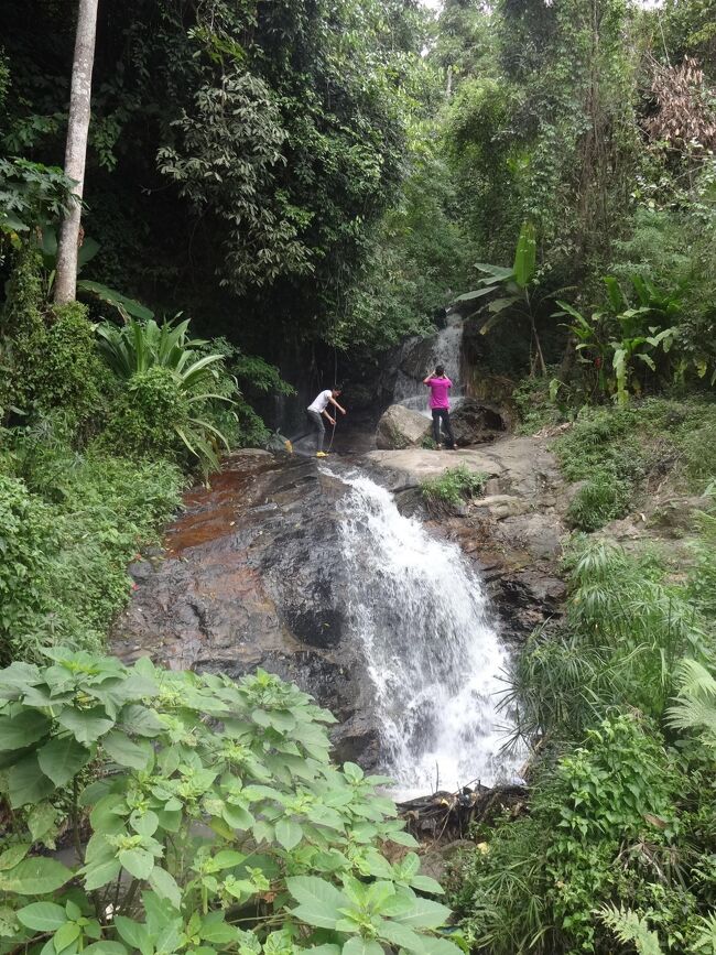 しばらく行くと、右手に滝があるようでしたが、これは帰りにとっておいて、別の滝です