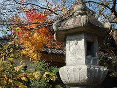 元興寺

少しだけ入ってみました。