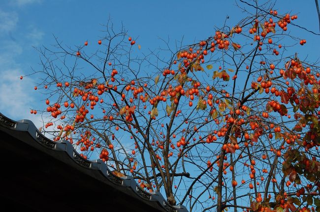 気持ちの良い朝の奈良の空気を感じて・・。