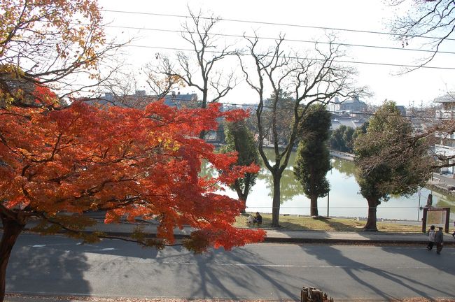 向こうに猿沢池が見えます。<br />