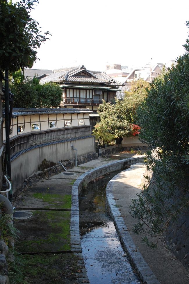 全員そろったところで御挨拶。<br />オフ会の参加は１年半ぶりの２回目です。<br />crossさん、kuritchiさん、らぼさん、前日光さん、初めまして。<br />ガブちゃん、元気になってよかった〜。<br />皆さん今日一日よろしくおねがいします。<br /><br />