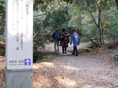 下の禰宜道（ささやきの小路）を歩いて春日大社に向かいます。