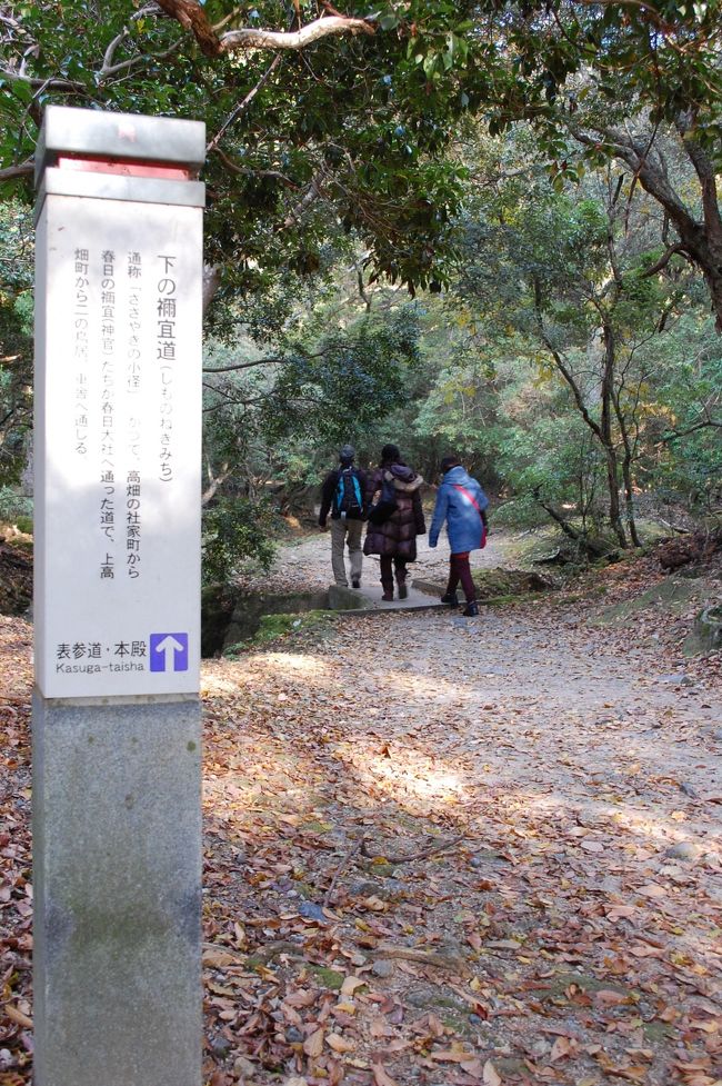 下の禰宜道（ささやきの小路）を歩いて春日大社に向かいます。