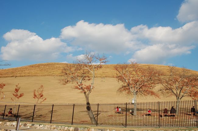 若草山<br /><br />この風景を見て感動！<br />奈良には何度も来てますがここへは小学校の修学旅行以来です。<br />鹿とこの若草山の景色はしっかりと憶えてます。フェンスは無かったでしょうが。<br /><br />hokkaと奈良の縁はココがスタートだったのかな？なんて思ってしまいました。<br />実は２０代前半の頃、奈良に春と秋に３〜４年続けて来てました。<br />ユースホステルに泊まりながら主なお寺を巡ったり正倉院展に来たり山の辺の道を歩いたり・・、難しい歴史とか仏教・美術はわからなくても何故か奈良には魅力を感じてました。それが今こうして４トラで知り合った方々と奈良を巡っていることにとても縁を感じます。ありがとうございます。<br />