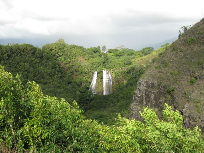 4日目は①日カウアイ島日帰り①日観光ツアーに参加してきました。5：30にホテルを出発。カウアイ島へ向かいました。<br />カウアイ島のリフエ空港へ到着すると女性のガイドさんが待っていました。バスで移動しまず到着したのがオパエカア滝。<br />少し遠かったけど緑がたくさんあって綺麗でした。