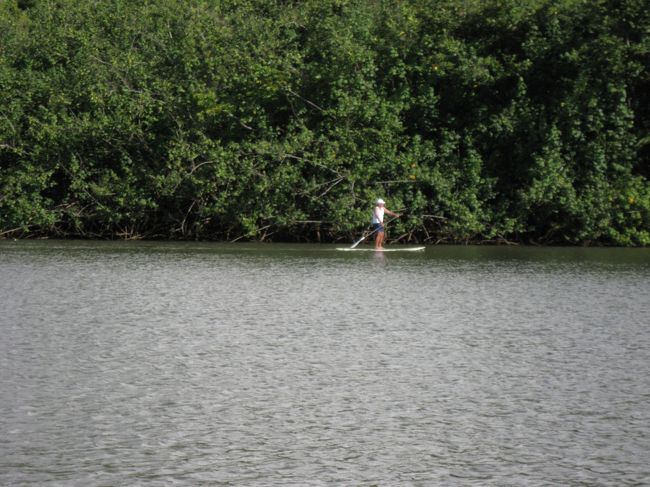 川でパドルサーフィンをしている人がいました。