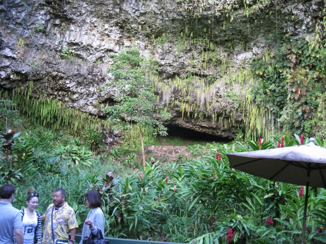 シダの洞窟へと到着しました。昔はここで結婚式なども行われていたという神聖な場所です。