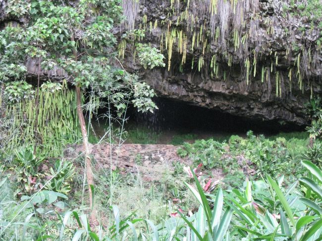心が洗われるような綺麗な場所でした。