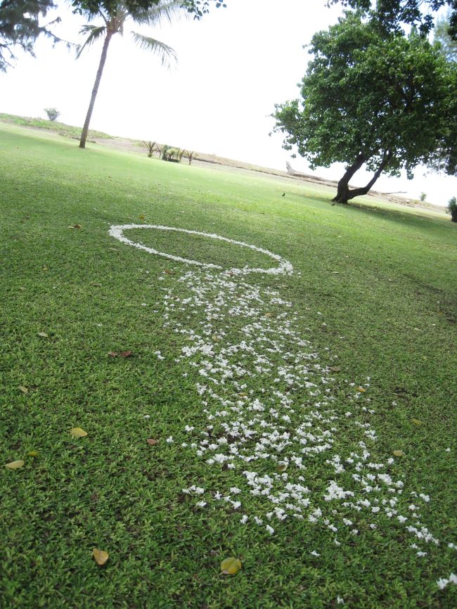 ここの木の前で結婚式があったようでした。