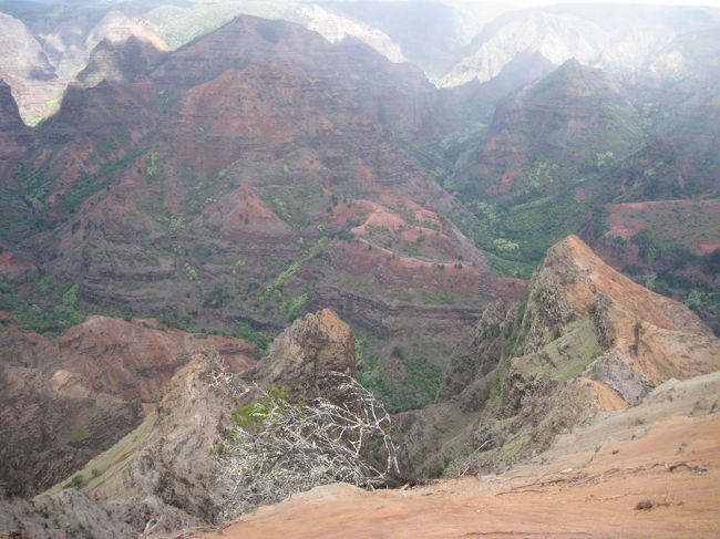 最初は曇っていていました。