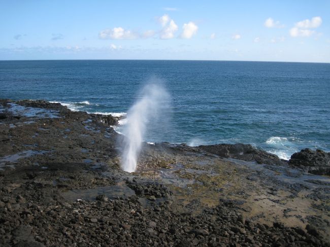 次に行ったのが潮吹き岩。近くにホヌも泳いでました。