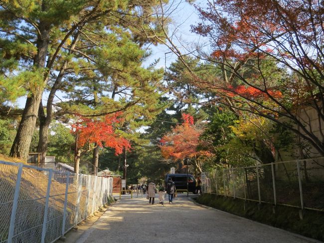 国立博物館に通じる道