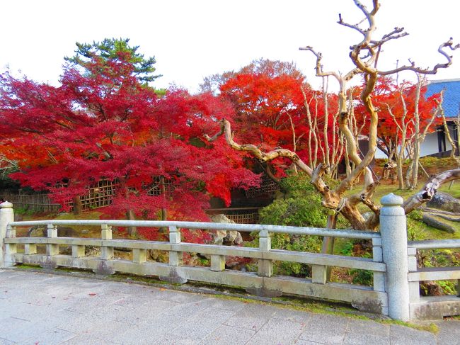 人並みを避けて<br />痛みを我慢して時々休憩しながら歩きます