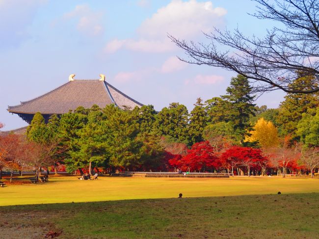 東大寺・大仏殿が見えてきました