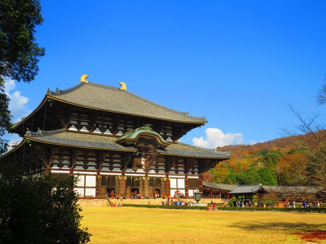 東大寺には何回も来ていますが<br />御朱印を頂いていないので、拝観料を払い中へ<br />