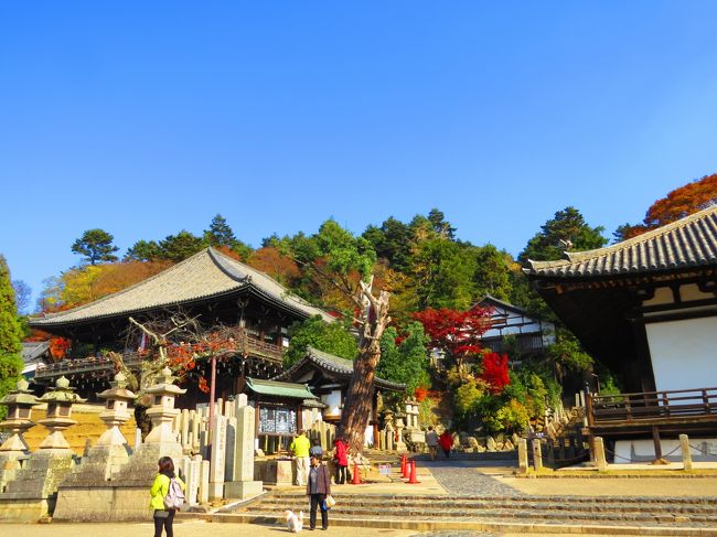 左から２月堂・３月堂