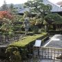 晩秋の西大和から斑鳩・奈良公園まで