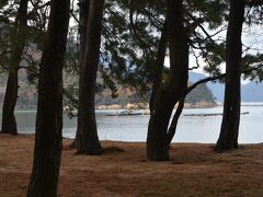 気比の松原へ

気比の松原の敦賀の砂浜。
天気は、雨が突然降り出した。さすがに、敦賀の天気は変わりやすい。