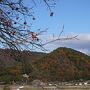 日本秘湯を守る会ご招待で「野の花山荘」へ　　錦秋の関西から雪の奥飛騨への旅