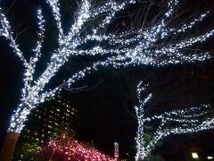 １７時過ぎに、勾当台公園に行くと、普段は花壇などがあるところにカラフルなイルミネーションが見えて、思わず胸が高鳴りました〜！

今日は、３０ｍのヒマラヤ杉のイルミは点いておらず、昨夜の点灯は、試験点灯だったようです。

「光のページェント」は、東二番丁通りと市民会館前の間の、定禅寺通りで行われます。

東二番丁通りを挟んで、勾当台公園と、勾当台公園市民広場があり、そこには、このようなイルミネーション、ビアホール、飲食ブース、スケートリンクなど、様々なイベント施設がオープンします！

