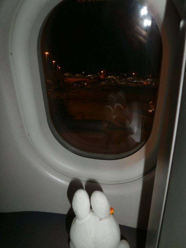 香港国際空港に到着しました。<br />あんた、降りるよ！(笑)