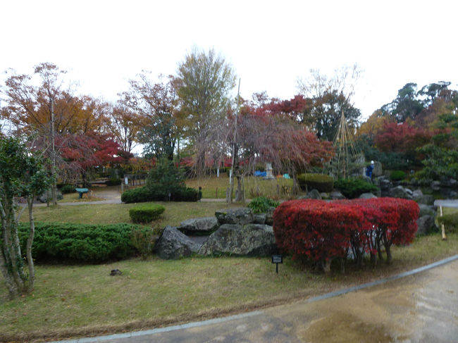 越前丸岡城庭園