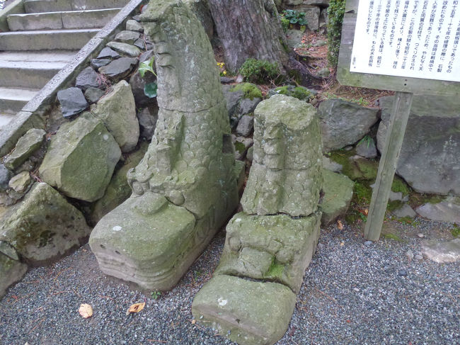 越前丸岡城　鯱<br /><br />天守の鯱は、もと木彫銅板張りであったものを、昭和15年から17年の修理の際に、当時は戦争中で銅板が天に入りにくかったので、やむなく天守閣の石瓦と同質の石材で作り変えられました。<br /><br />しかしこの石瓦も昭和年の福井大地震で落下し昭和年の修復時に天守の鯱は元の木彫銅板張りに復元されました。<br />これは石材の鯱です。