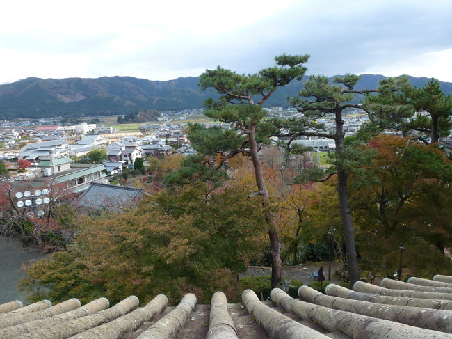 越前丸岡城　天守から見た景色