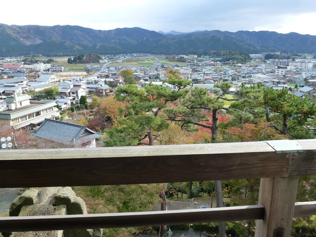 越前丸岡城　天守から見た景色